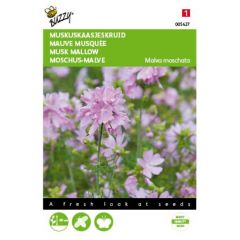 Zaden Malva Muskus Kaasjeskruid roze Buzzy