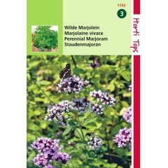 Saatgut Majoran - Oregano (rosa blühend) Hortitops