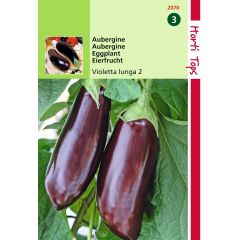 Zaden Aubergine Violetta lunga 2 Hortitops
