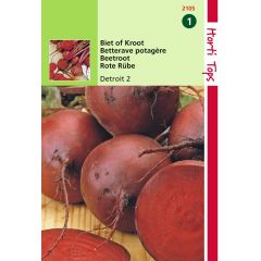 Zaden Bieten Kogel 2 Hortitops