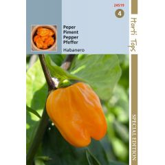 Zaden Peper Habanero oranje Hortitops