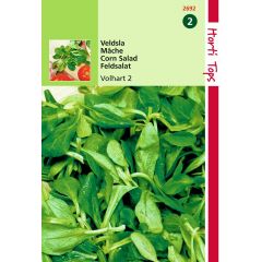 Saatgut Feldsalat Volhart 2 Hortitops