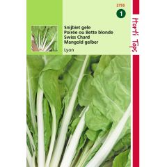 Zaden Snijbiet Blonde A Carde Blanche - Gele Witribbige 2 Hortitops