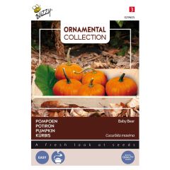 Samen Ornamental Wintersquash Baby Bear Buzzy
