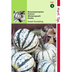 Zaden Bewaar pompoen Sweet Dumpling (wintersquash) Hortitops