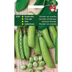 Zaden Doperwten Wonder Van Amerika 100g Tuinplus