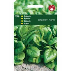 Zaden Spinazie Campania F1 50g Tuinplus