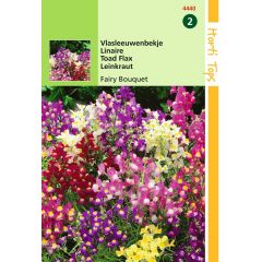 Zaden Linaria Vlasleeuwenbekje Fairy Bouquet gemengd Hortitops
