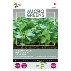 Zaden Microgreens Citroenbasilicum Buzzy