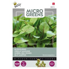 Zaden Microgreens Bloedzuring Buzzy