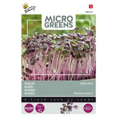 Zaden Microgreens Radijs (rood) Buzzy