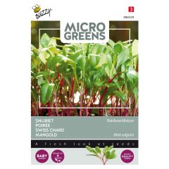 Zaden Microgreens Snijbiet gemengd Buzzy