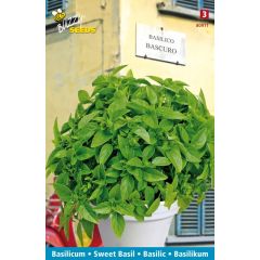 Zaden Basilicum Bascuro Buzzy