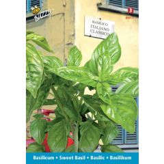 Zaden Basilicum Italiano Classico Buzzy