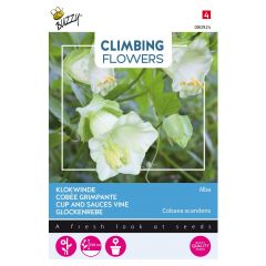 Zaden Flowering Climbers Cobaea Alba Wit Buzzy