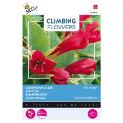 Zaden Flowering Asarina Red Dragon Buzzy
