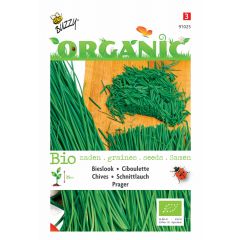 Zaden Organic Bieslook Prager (BIO) Buzzy