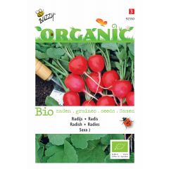 Zaden Organic Radijs Saxa 2 (BIO) Buzzy