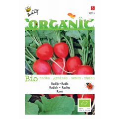 Zaden Organic Radijs Raxe (BIO) Buzzy
