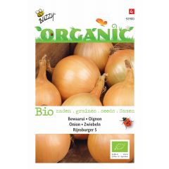 Zaden Organic Ui Rijnsburger 5 bewaarui (BIO) Buzzy