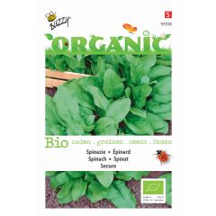Zaden Organic Spinazie Securo (BIO) Buzzy