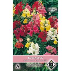 Antirrhinum majus Rainbow Mix Van Hemert & Co
