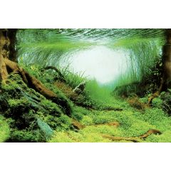 Abziehbild Poster C4 120X49 Cm für Superfish Aquarien