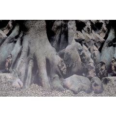 Abziehbild Poster D5 120X61 Cm für Superfish-Aquarien