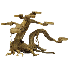 Bonsai Planter Small aquaria SuperFish
