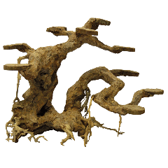 Bonsai Planter Medium aquaria SuperFish