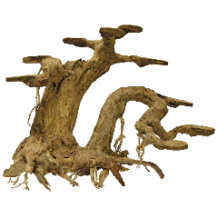 Bonsai Planter Large aquaria SuperFish