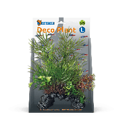 Deco Plant L Ceratopteris aquaria Superfish