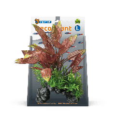 Deco Plant L Henkelianus aquaria Superfish