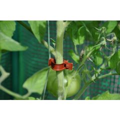 6 stuks! Tomato Clips / Clips a tomates 20 X Royal Well