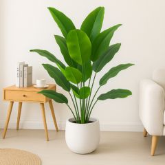 Outlet Z: Strelitzia bladeren 70 cm 24 bladeren op steker