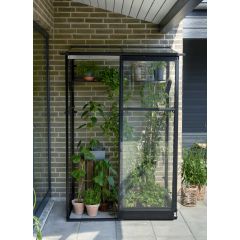 Muurkas Qube Lean-to 24 Royal Well