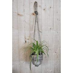 Graslelie in hangende pot beige/grijs Warentuin Natuurlijk