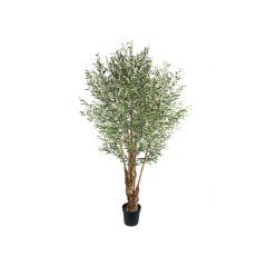 Künstliche Olive auf Stiel, 264 cm Buitengewoon de Boet