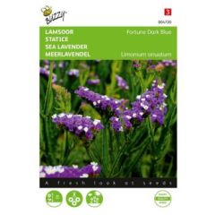 Zaden limonium lamsoor fortune dark blue 0.2 gram Buzzy