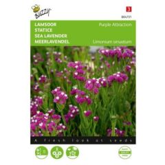 Zaden limonium lamsoor purple attraction 0.2 gram Buzzy