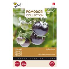 Pomodori Indigo rose (zwart) zaden Buzzy