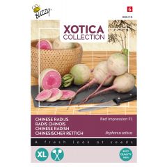 Xotica Japanse Radijs Red Impression F1 zaden Buzzy