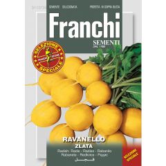 Radijs Radijs Ravanello Zlata 112/36 zaden Franchi