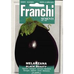 Aubergine Melanzana Black Beauty 90/21 zaden Franchi