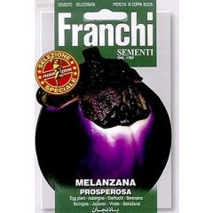 Aubergine Melanzana Prosperosa 90/15 zaden Franchi