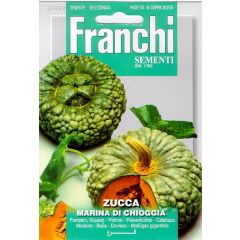 Pompoen Zucca marina di Chioggia 145/2 zaden Franchi