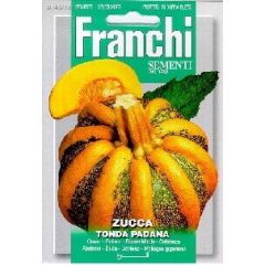 Pompoen Zucca Tonda Padana 145/13 zaden Franchi