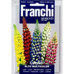 Lupine Lupino Alto Multicolor 335/1 zaden Franchi