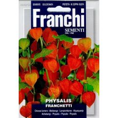 Lampionplant Physalis franchetti 342/50 zaden Franchi