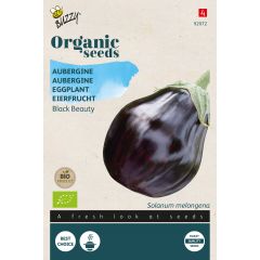 Organic Aubergine Black Beauty (Bio) zaden Buzzy